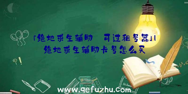 「绝地求生辅助